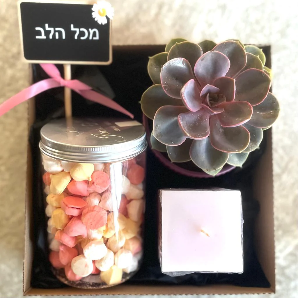 "סוקו-בוקס "החלמה מהירה - Image 3
