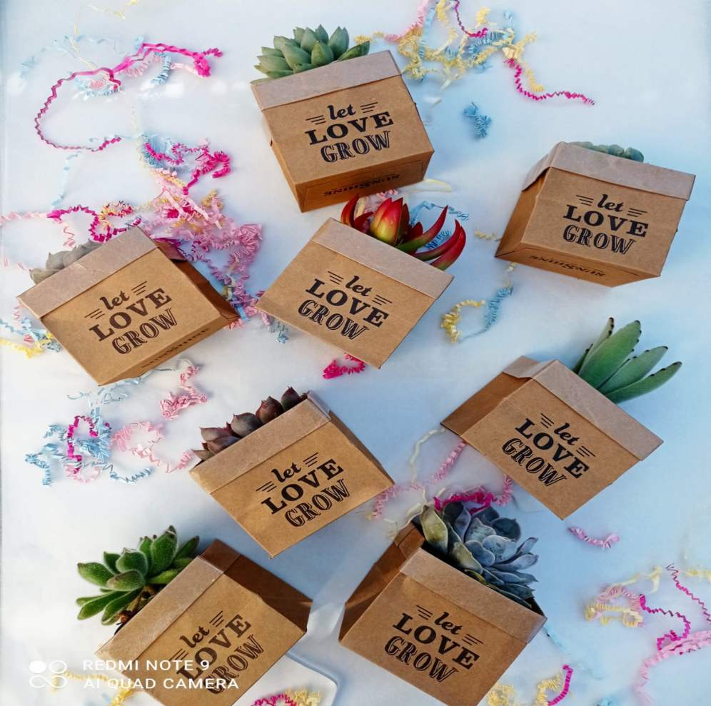 Succu Smile - Let Love Grow - Image 3